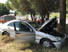 un accident de voiture impliquant un arbre s'est produit à la rochelle. découvrez les circonstances, les conséquences et les premiers éléments de l'enquête sur ce fait divers local.