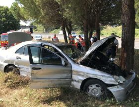 un accident de voiture impliquant un arbre s'est produit à la rochelle. découvrez les circonstances, les conséquences et les premiers éléments de l'enquête sur ce fait divers local.