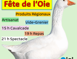découvrez tout sur les oies à la rochelle : observation, conseils pratiques, lieux incontournables et activités pour toute la famille autour de ces oiseaux emblématiques.