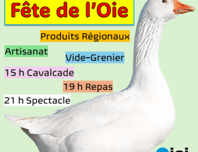découvrez tout sur les oies à la rochelle : observation, conseils pratiques, lieux incontournables et activités pour toute la famille autour de ces oiseaux emblématiques.