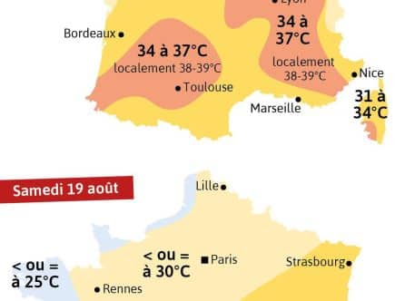 découvrez les dernières informations sur la vague de chaleur à la rochelle : températures record, conseils pour se protéger, et impact sur la vie locale. restez informé pour mieux affronter la canicule.