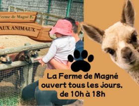 découvrez les ateliers gratuits proposés au carré amelot : activités créatives, artistiques et culturelles pour tous les âges à la rochelle. inscrivez-vous vite pour participer !