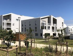 découvrez si la présence de rats inquiète vraiment le quartier en bois à la rochelle et quelles sont les mesures envisagées pour gérer cette situation.