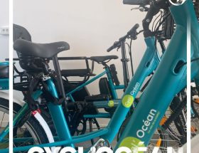 découvrez les solutions de mobilités douces à la rochelle : vélo, transports en commun, mobilité partagée et initiatives écologiques pour circuler facilement, durablement et en toute sécurité dans la ville.