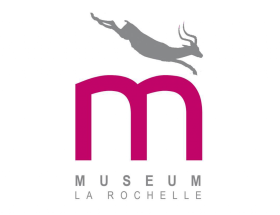 découvrez les musées gratuits à la rochelle : histoire, art et patrimoine accessibles à tous pour une visite culturelle sans frais au cœur de la ville.