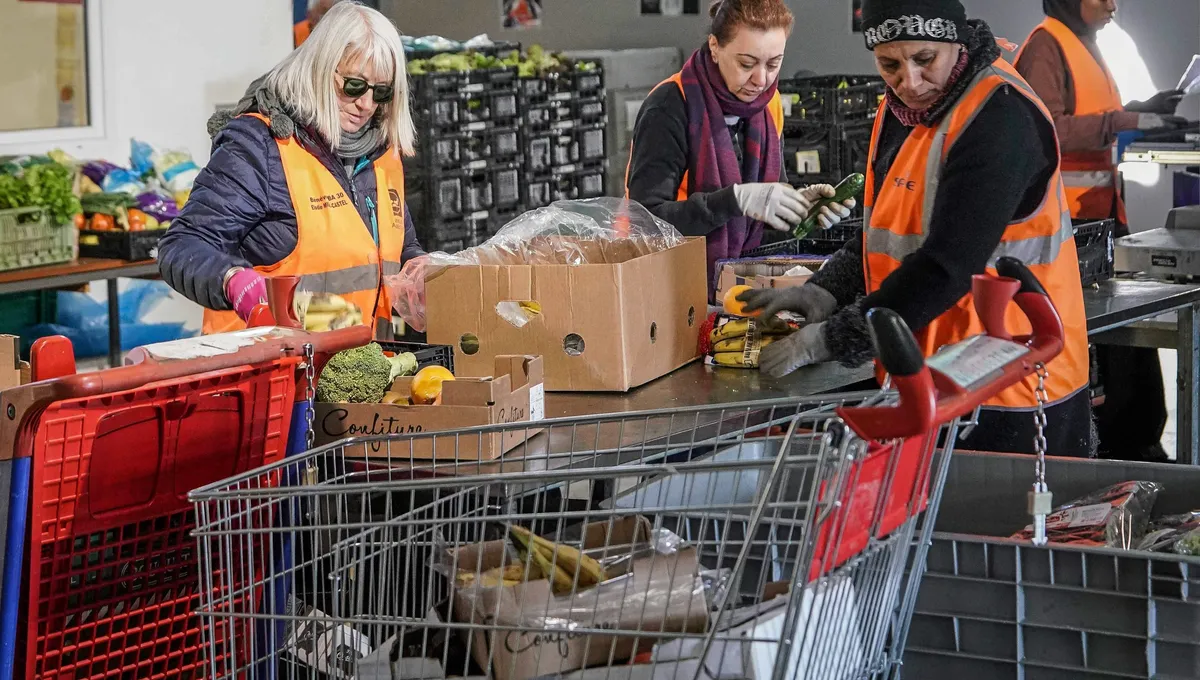 découvrez les dernières alertes et informations sur les banques alimentaires à la rochelle : besoins urgents, collecte de dons, aide alimentaire et soutien aux personnes en difficulté dans la région.
