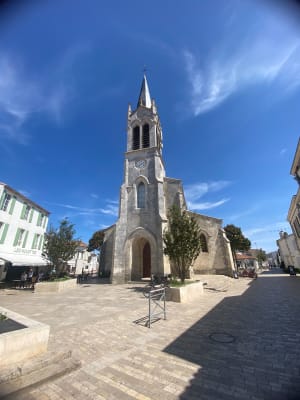 découvrez pourquoi la rochelle a perdu son titre de ville à vélo et les conséquences de ce déclassement sur la mobilité douce et l’image de la ville. analyse des causes et perspectives d’avenir.