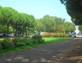 découvrez le parc écologique de la rochelle, un espace naturel préservé idéal pour se détendre, observer la biodiversité locale et profiter de sentiers balisés en famille ou entre amis.