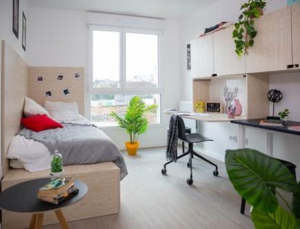 découvrez la résidence étudiante minimes : studios confortables, services pratiques et emplacement idéal près des universités et transports. parfait pour un séjour d’études serein à toulouse.