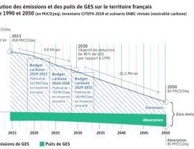 découvrez comment les entreprises s'engagent activement pour atteindre la neutralité carbone en décembre, à travers des initiatives durables et des actions concrètes.