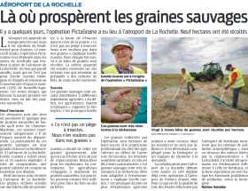 service professionnel d'abattage d'arbres à l'aéroport de la rochelle, assuré par des experts pour garantir sécurité et efficacité.