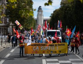 moins d’arbres abattus près de la rochelle grâce à un rassemblement maintenu, mobilisant la communauté pour la préservation de l'environnement local.