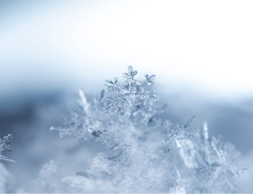 découvrez si les écoles à la rochelle seront ouvertes mardi malgré la neige et toutes les informations pour bien préparer la journée.