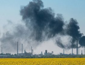 découvrez les impacts dramatiques des désastres écologiques et les conséquences des coupes massives sur notre environnement. agissons ensemble pour préserver la planète.